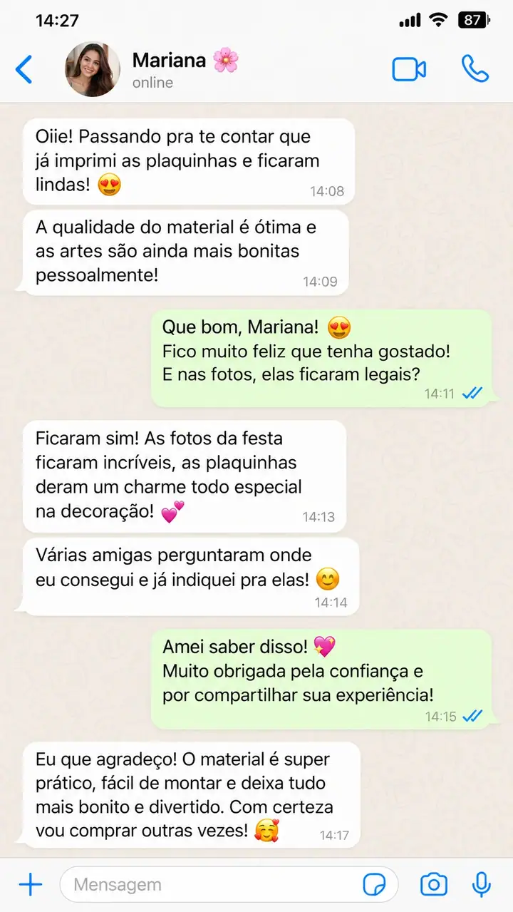 Conversa fictícia ilustrativa 3